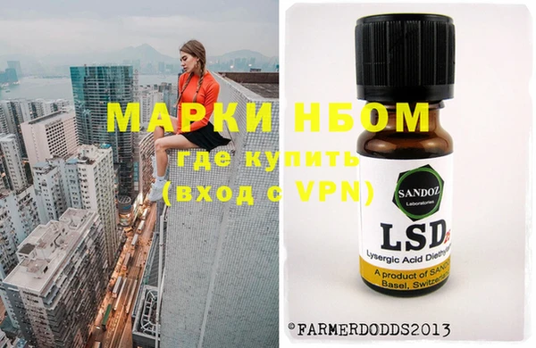 эйфоретик Баксан