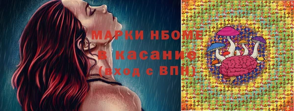 эйфоретик Баксан