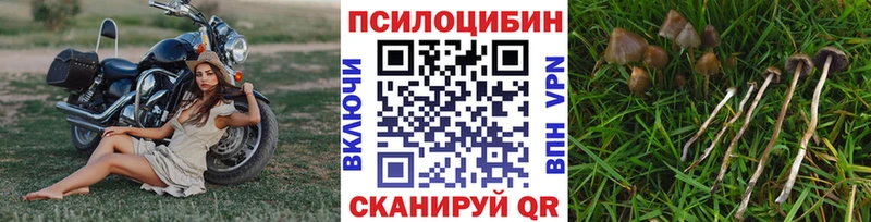 Галлюциногенные грибы прущие грибы  Томари 